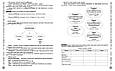 НМТ 2026 Українська література. Інтерактивний довідник-практикум із тестами. Ранок, фото 2