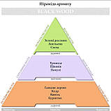 Парфуми для авто Hypno Casa luxury "Black Wood" 20 мл, фото 3