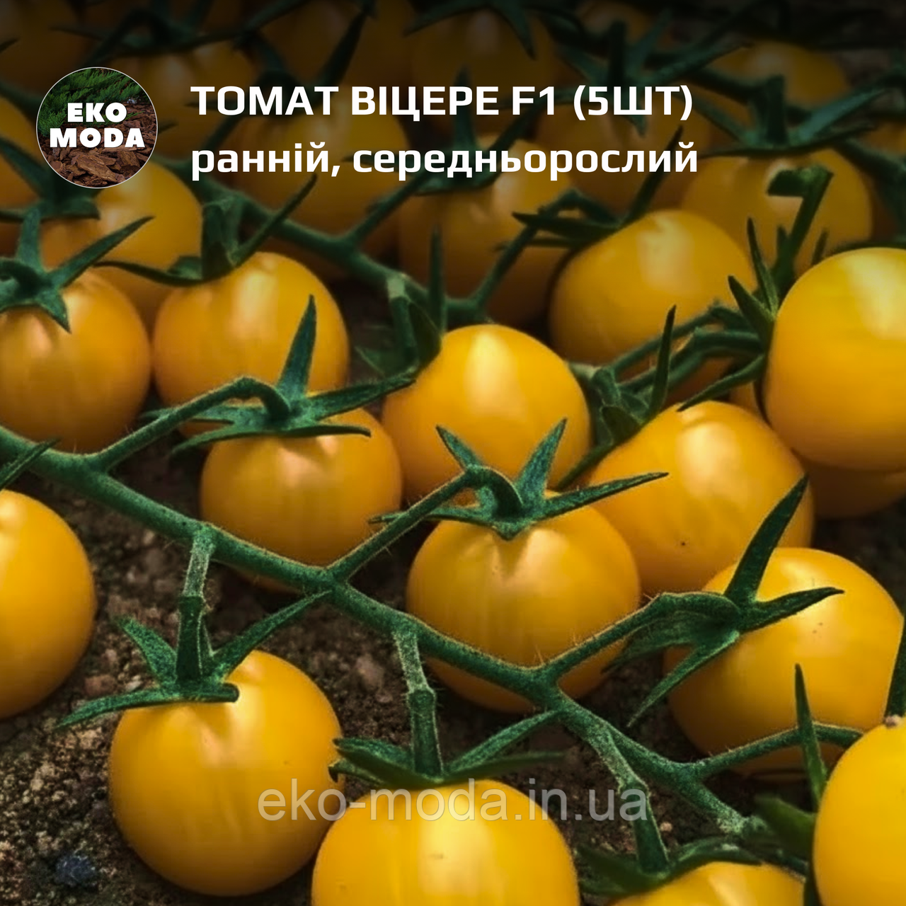 Томат Віцере F1 ранній, середньорослий, (5 шт, zip-пакет)