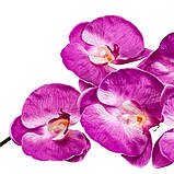 Штучна малинова орхідея 137 см - підлогова декоративна гілка фаленопсиса, фото 3