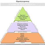 Парфуми для авто Hypno Casa luxury "Cuore di Bergamotto" 20мл, фото 3