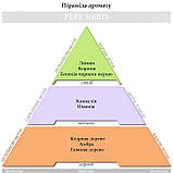 Парфуми для авто Hypno Casa luxury "Pepe Nero" 20мл, фото 3