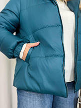 Жіноча куртка евро-зима великого розміру Україна Розміри: 48-50, 52-54, 56-58, 60-62, фото 4