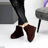 Стильні жіночі зимові кросівки на високій підошві, жіночі зимові хайтопи, зимові автоледі, фото 5