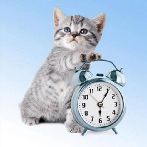 

Алмазная вышивка. Картина на подрамнике "Будильник", 30х30см