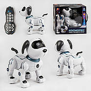 Собака на радіокеруванні “КОСМОПЕС” | Песик на пульті керування | Собака-робот на радіоуправлінні, фото 8