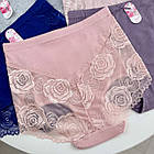 Бавовняні великі жіночі трусики  Baoyandi #23060, фото 4