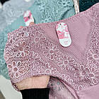 Бавовняні жіночі трусики  Baoyandi #2338, фото 4