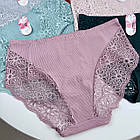 Бавовняні жіночі трусики  Baoyandi #2338, фото 5