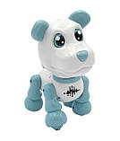 Собака 40986D, ходить, говорить фрази, співає пісеньку, українська мова, фото 6