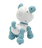 Собака 40986D, ходить, говорить фрази, співає пісеньку, українська мова, фото 4