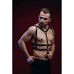 Портупеї та гарттери (18+)