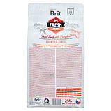 Brit Fresh (Брит Фреш) Pumpkin Puppy Large Pumpkin для цуценят і юніорів великих порід (яловичина) 2,5 кг, фото 3