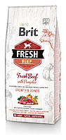 Brit Fresh (Брит Фреш) Pumpkin Puppy Large Pumpkin для цуценят і юніорів великих порід (яловичина) 12 кг
