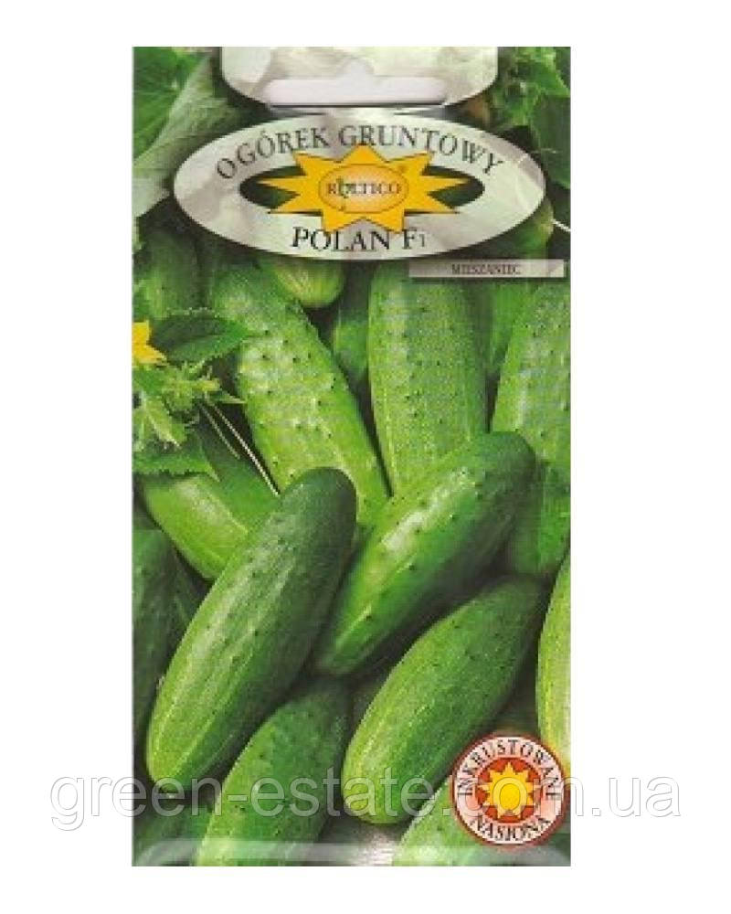 Огірок Полан F1 5 г. (Польща, Roltico)
