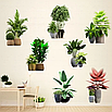 Інтер'єрна наклейка на стіну 90*30 см сукуленти 2 шт, самоклеючі 3d наклейки на стіну, фото 5