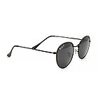 Окуляри Ray Ban Roud 3048 black polarized, фото 4