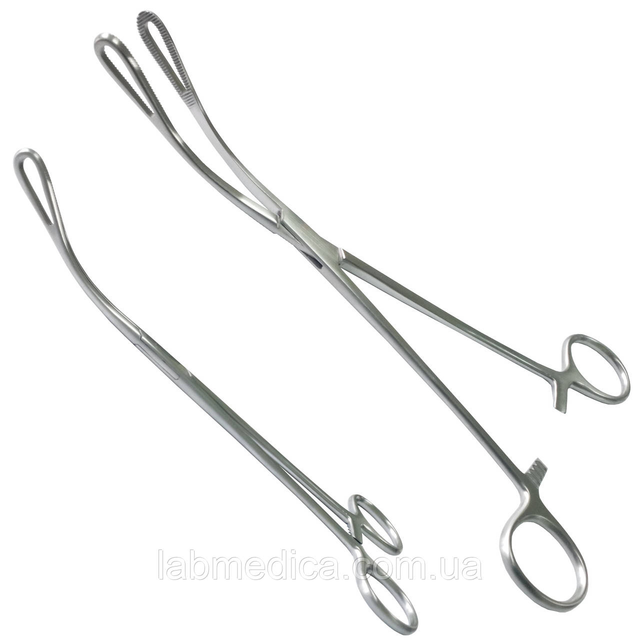Щипці для утримання губи вигнуті Rampley. Довжина 25 см, робоча частина 33 х 12 мм SURGIWELOMED, фото 1