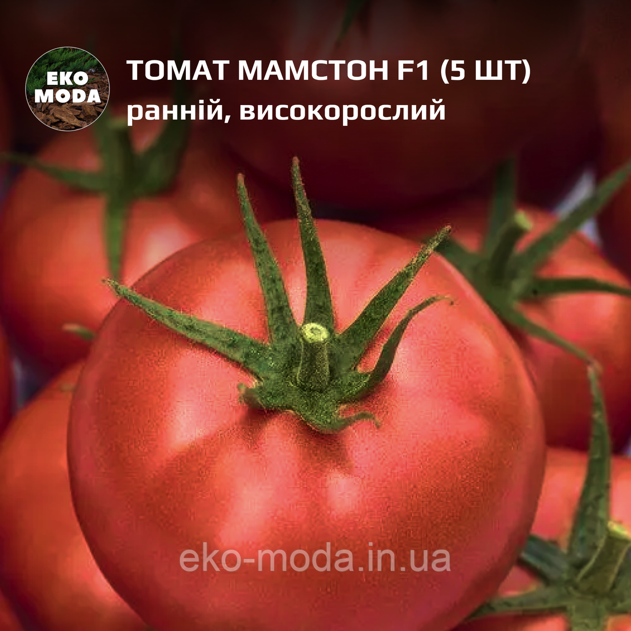 Томат Мамстон F1 ранній, високорослий, (5 шт, zip-пакет)