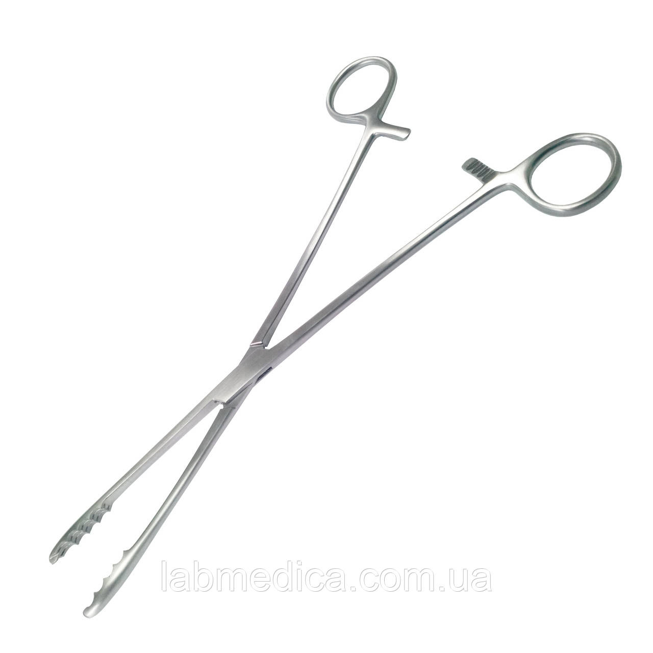 Щипці для ватних тампонів прямі через Ulrich. Довжина 25 см SURGIWELOMED, фото 1
