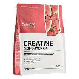 Креатин Creatine Monohydrate OstroVit 300 г Кавун