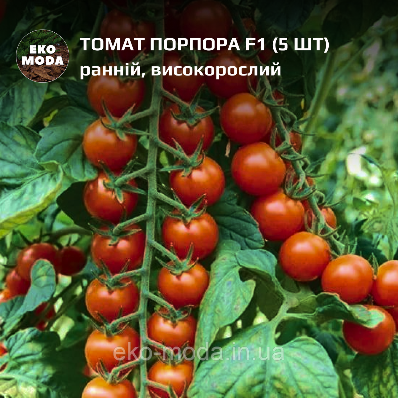 Томат Порпора F1 ранній, високорослий, (5 шт, zip-пакет)