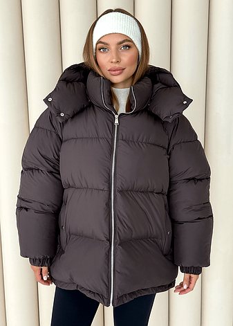 Пуховик жіночий зимовий Шелл, розмір універсальний, фото 1