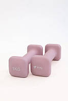 Гантелі WCG Cube 2×1кг/2кг/3кг/4кг/5кг набір жіночі цільні для фітнесу W_2548