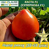 Томат з носиком ультра-ранній КАСТА (СУПЕРНОВА) F1, HM. Clause (Франція), фото 3