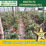 Томат з носиком ультра-ранній КАСТА (СУПЕРНОВА) F1, HM. Clause (Франція), фото 5