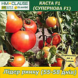 Томат з носиком ультра-ранній КАСТА (СУПЕРНОВА) F1, HM. Clause (Франція), фото 6