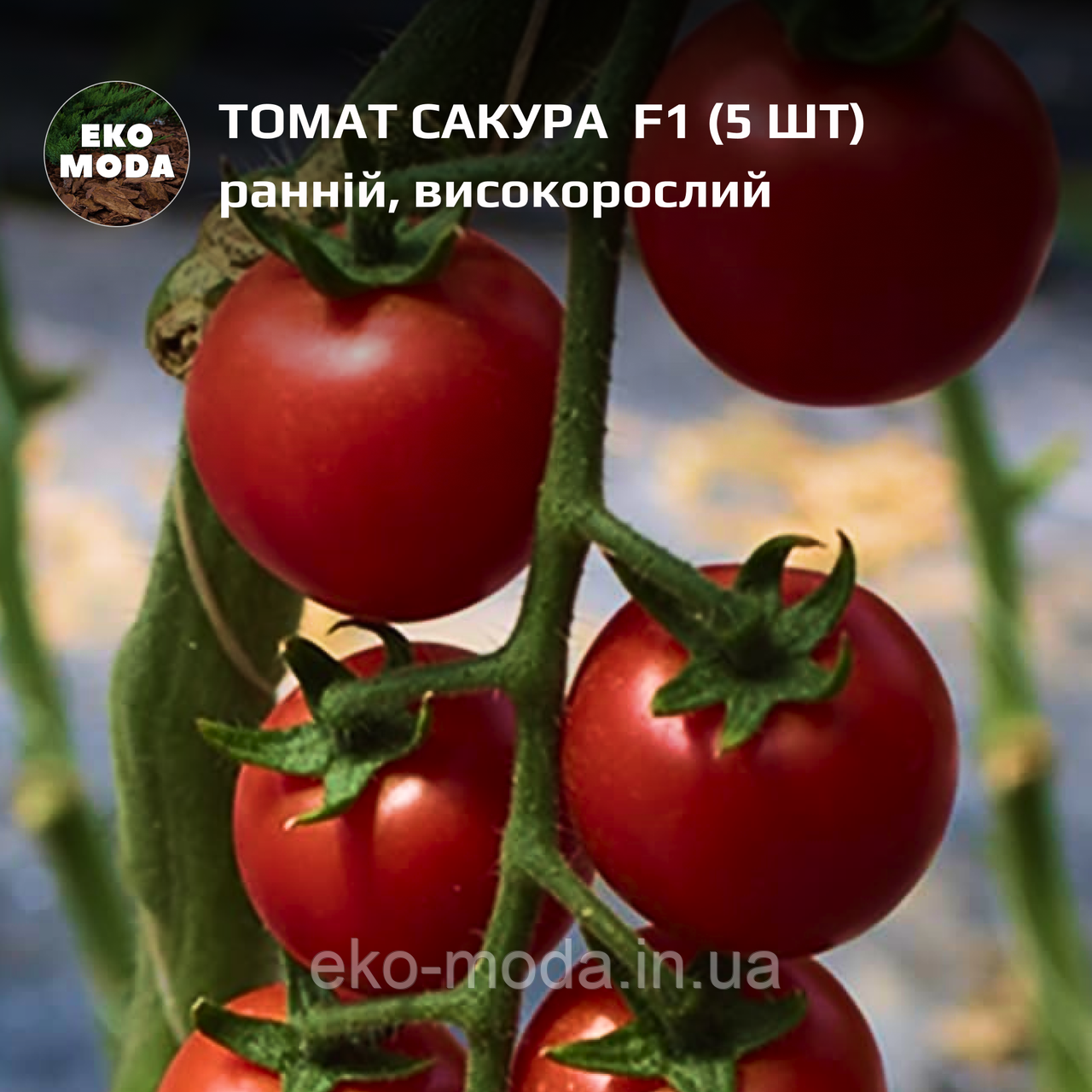 Томат Сакура F1 ранній, високорослий, (5 шт, zip-пакет)