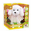 Улюбленець інтерактивний песик в сукні ходить грається і говорить / Іграшкова собачка на повідку для дітей Звук аксесуари, фото 6