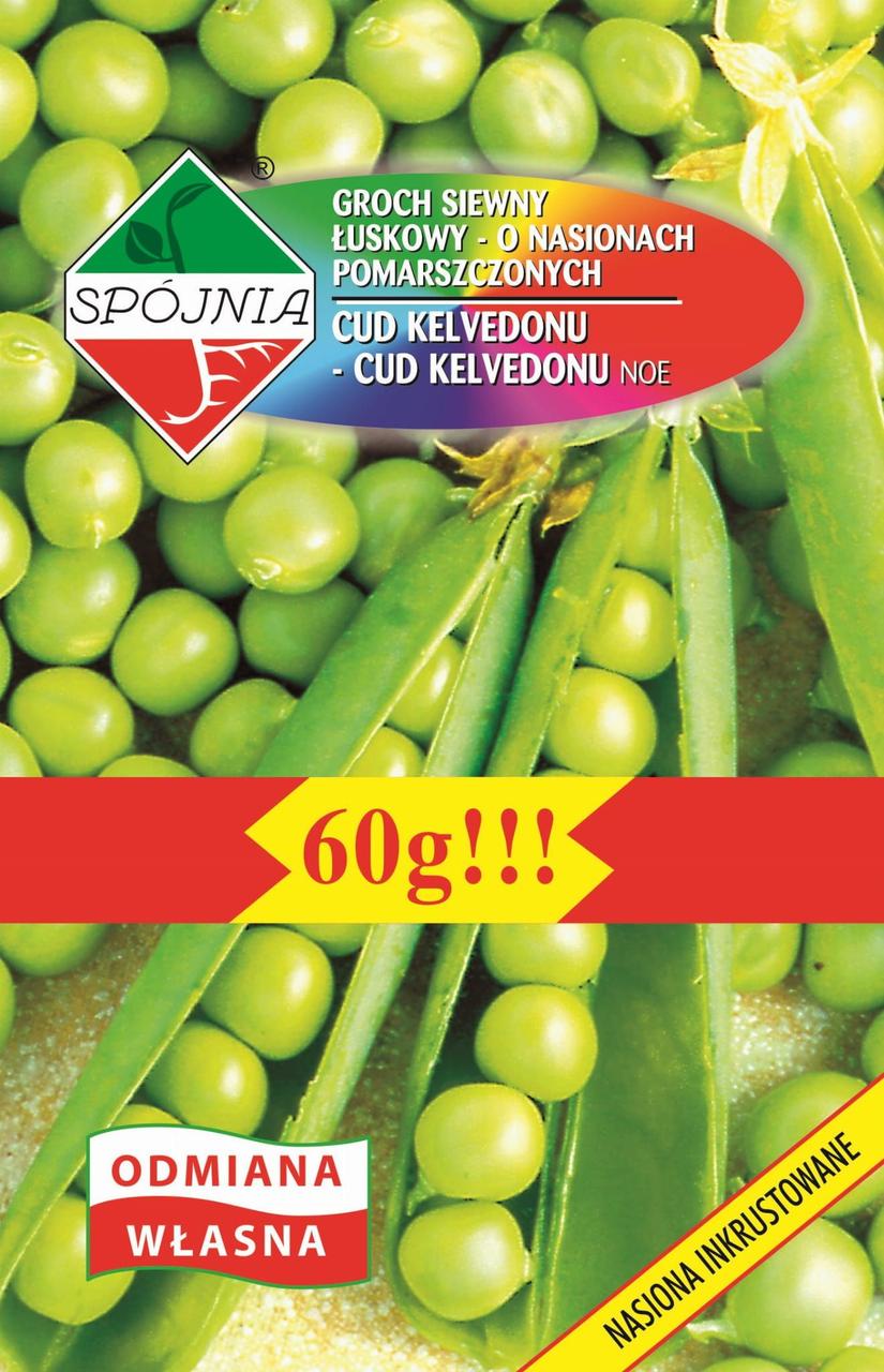 Насіння гороху Диво Кельведону 60г ТМ SPOJNIA