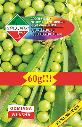 Насіння гороху Диво Кельведону 60г ТМ SPOJNIA, фото 1