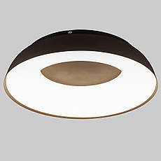 Стельова led люстра 58см 80W з пультом і додатком (97-MX6018 (580) CF), фото 4