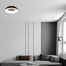 Стельова led люстра 58см 80W з пультом і додатком (97-MX6018 (580) CF), фото 3