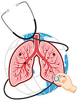Імунітет і легені: як пов’язані наші системи захисту
