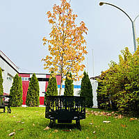 Кострова чаша Вуйка Big (вкрита вогнетривкою фарбою)., фото 4