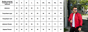 Бомбер чоловічий "Challenge" Intruder червоний, фото 4