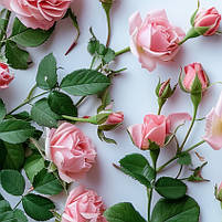 Картина-годинник «Рожеві троянди» Ніжний настінний декор для дому Безшумний годинник для спальні Друк на полотні 120х66 см, фото 4