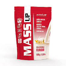Mass Up (1,2 kg, banana)