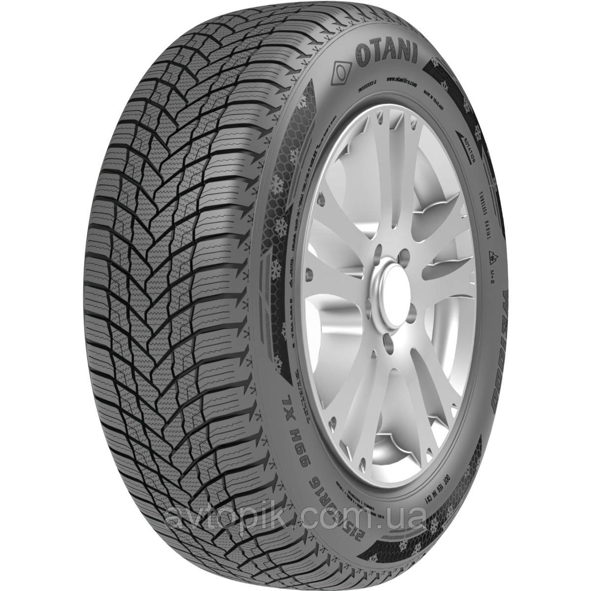 Зимові шини Otani WE-1000 195/65 R15 91H