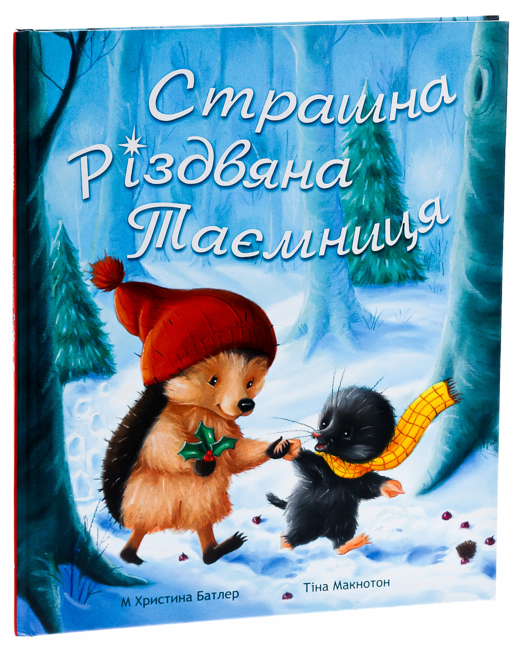 Product image preview