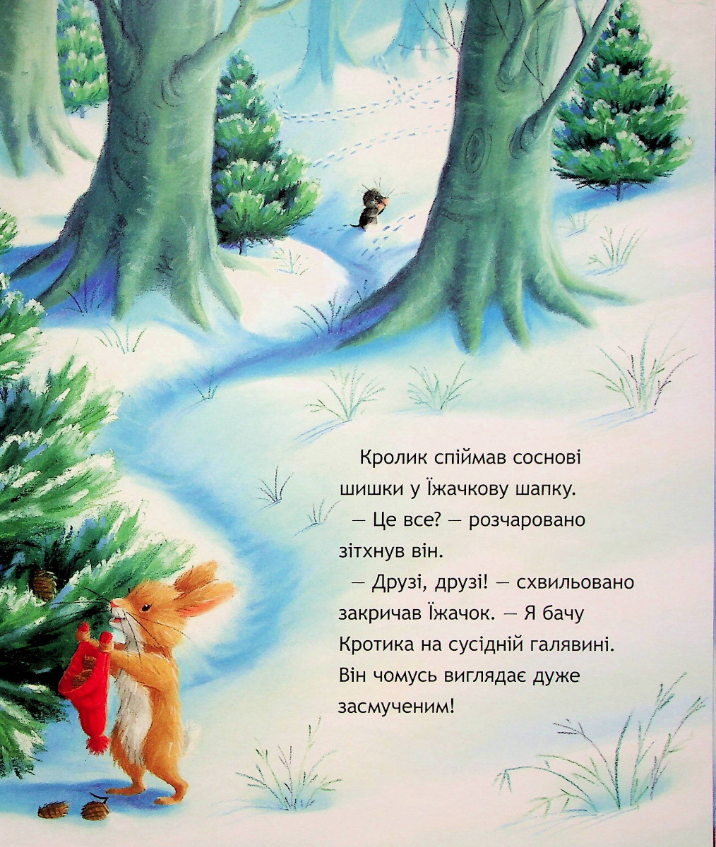 Product image preview