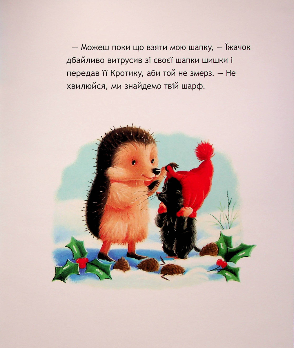 Product image preview