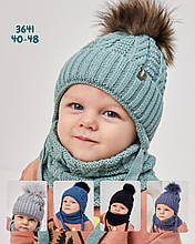 Комплект теплий Vertex, для хлопчика, шапка в'язана з помпоном і снуд розмір 44-48