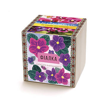 Екокуб фіалка набір для вирощування рослин (ytrewq543228)