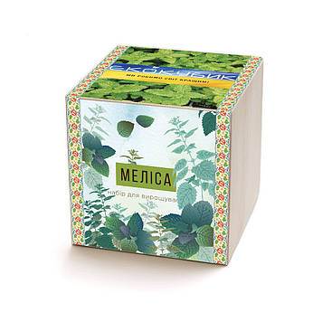 Екокуб мелісу набір для вирощування рослин (ytrewq543227)