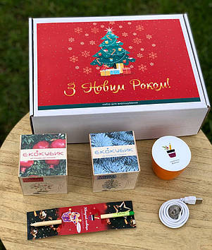 Новорічний подарунковий набір від Екокубика